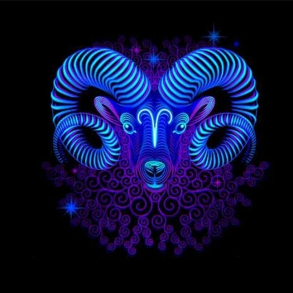 Meet Luna - Picture 8 of 16